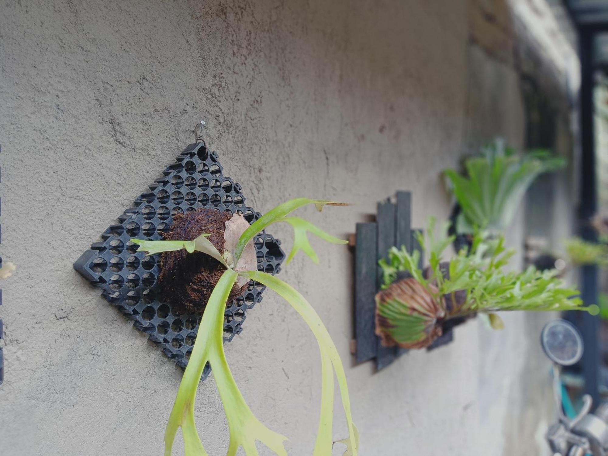 Sudana Homestay Ubud Esterno foto