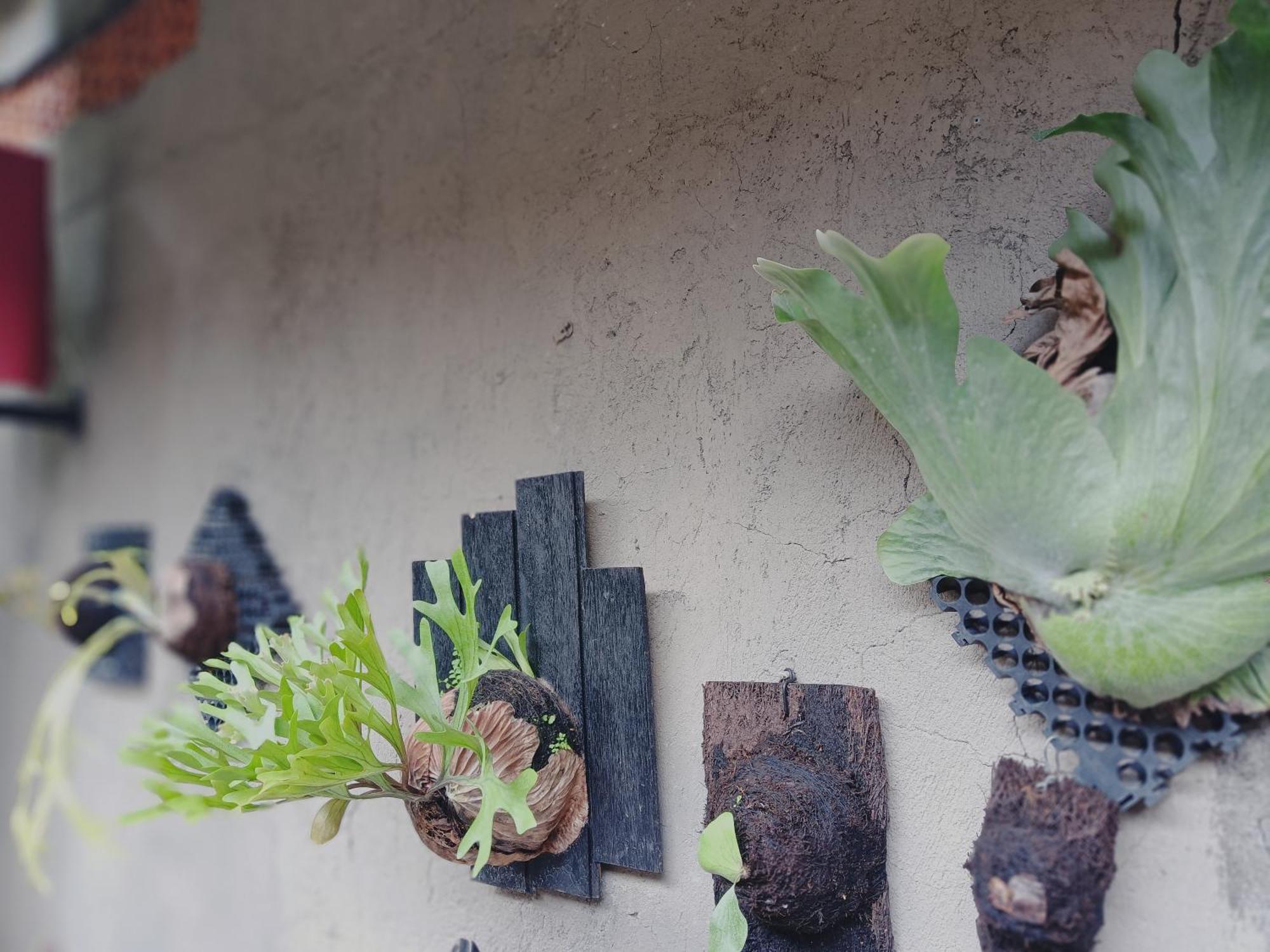 Sudana Homestay Ubud Esterno foto