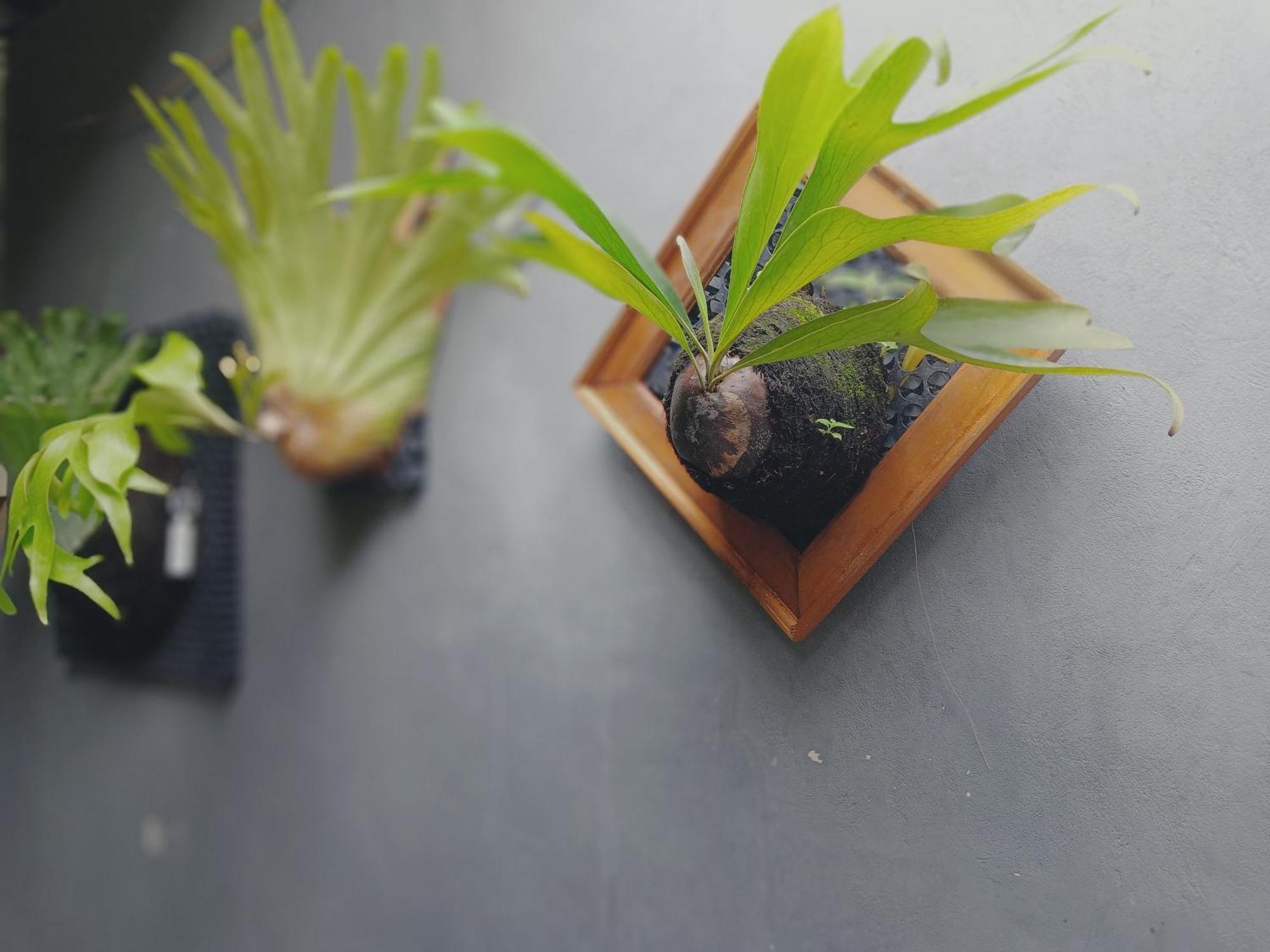 Sudana Homestay Ubud Esterno foto